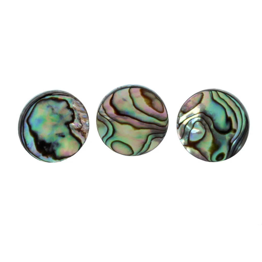 3 ชิ้น/เซ็ตทรัมเป็ต Abalone Sh - Musical Instrument Horn บทวิจารณ์และราคา
