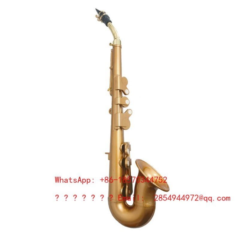 แซกโซโฟนเรซิ่น เครื่องดนตรี บี - Musical Instrument Easy To Learn For Adults บทวิจารณ์และราคา