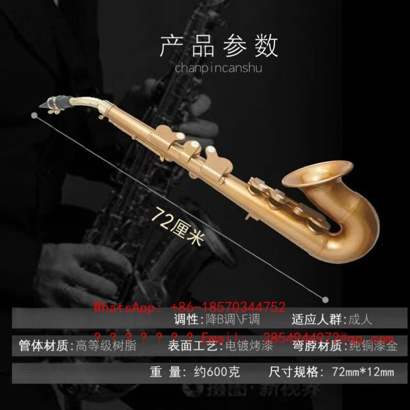 แซกโซโฟนเรซิ่น เครื่องดนตรี บี - Musical Instrument Easy To Learn For Adults บทวิจารณ์และราคา