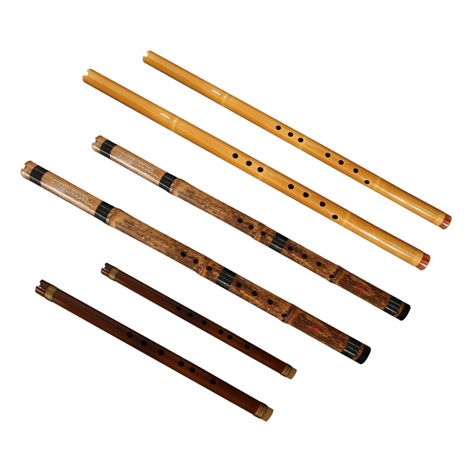 ฟลุต เครื่องดนตรีคลาสสิก เครื่ - Musical Instrument Easy To Learn For Adults บทวิจารณ์และราคา