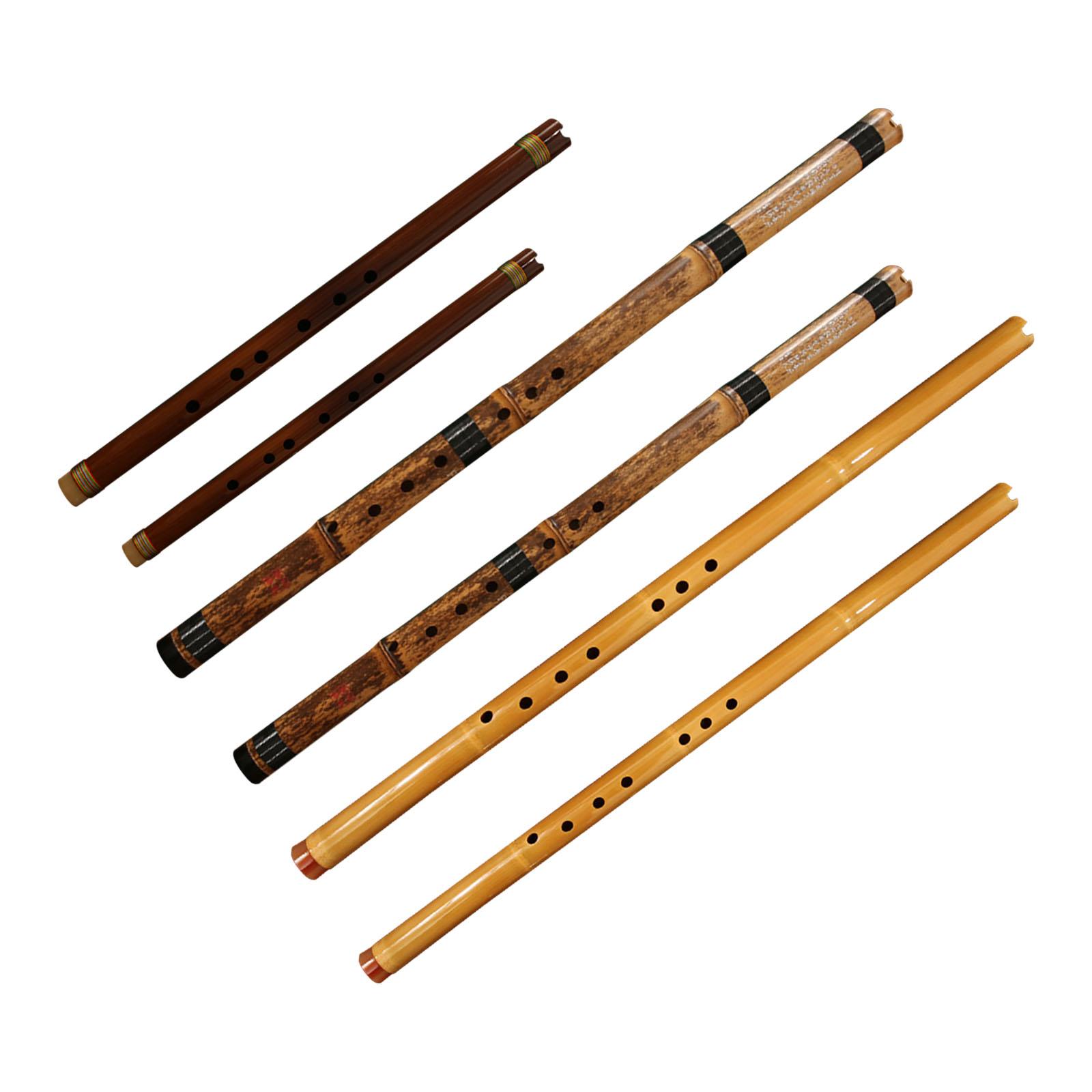 ฟลุต เครื่องดนตรีคลาสสิก เครื่ - Musical Instrument Easy To Learn For Adults บทวิจารณ์และราคา
